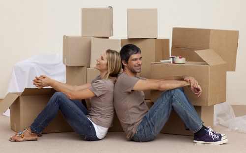 Selection of sturdy cartons and packing materials for local relocation